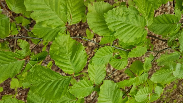 „Lehnt Euch einfach zurück“