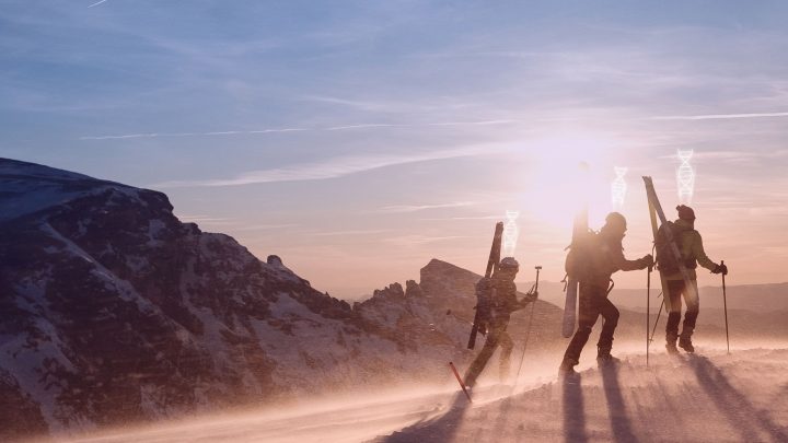 Der erste Entwurf des Buches der Gene wird in China geschrieben