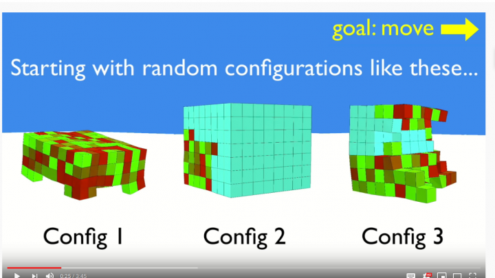Lebende Roboter mit Froschzellen gebaut/ komplexe und autonome Systeme besser verstehen