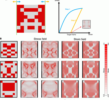 New AI tool calculates stress and strain of materials from photos