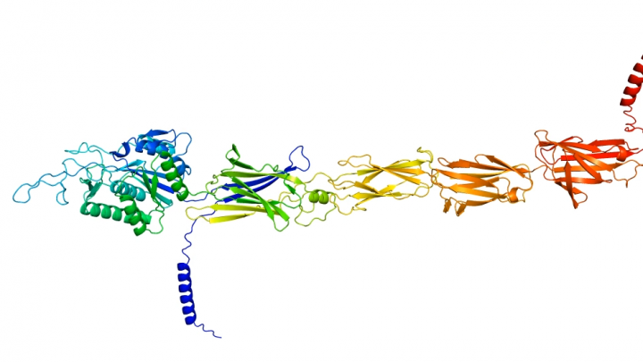 Deep Mind to publish database of nearly all proteins in 3D structure