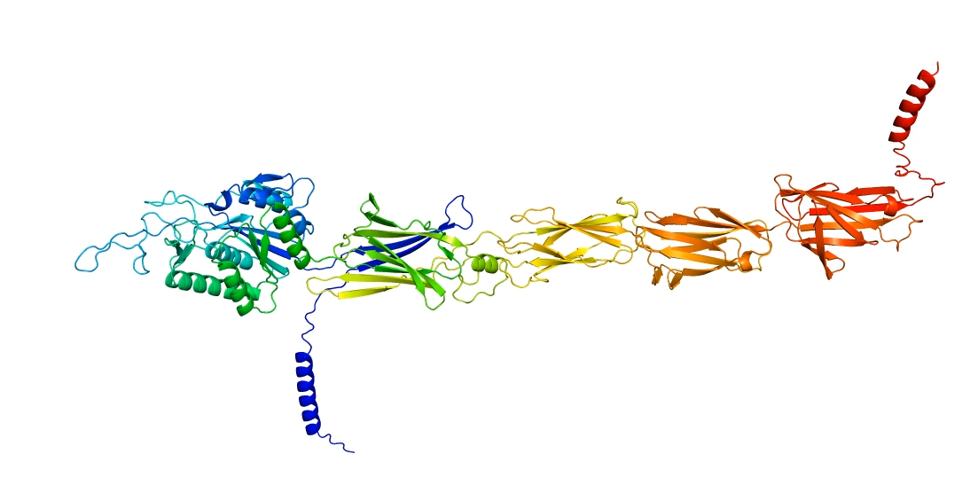 Deep Mind will Datenbank fast aller Proteine in 3D-Struktur veröffentlichen