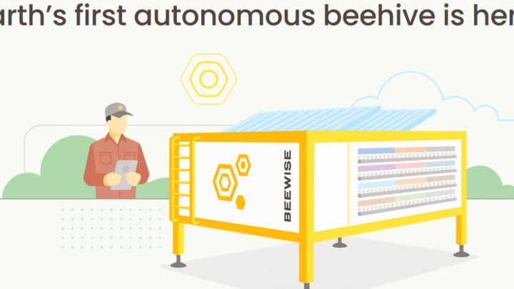 Beewise startet Verkauf von KI-Bionenstöcken
