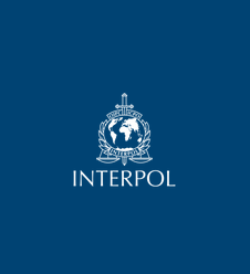 Interpol arrested over 1,000 cyber criminals from 20 countries and seized $27 million
