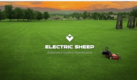 Dexter soon to sweep the lawn