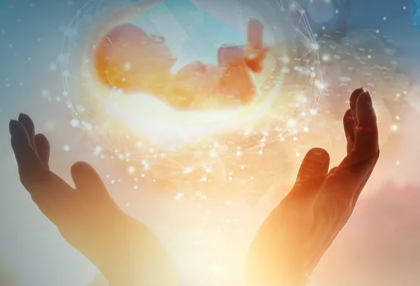 Using AI technology to evaluate embryos